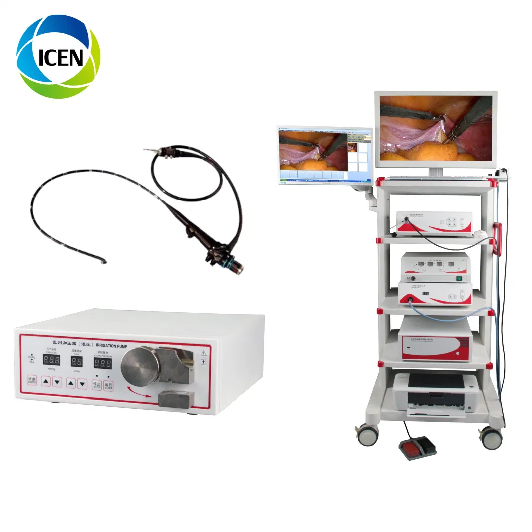 in-P007 China Portable Medical Rigid Endoscope Video Colonoscope Gastroscope System